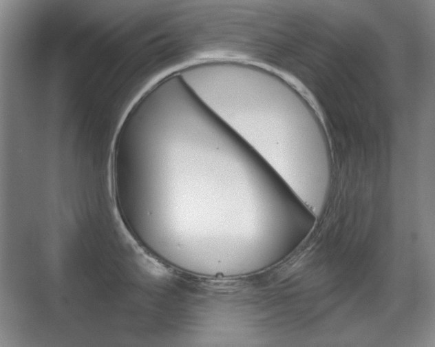 X0000070401295200606090920