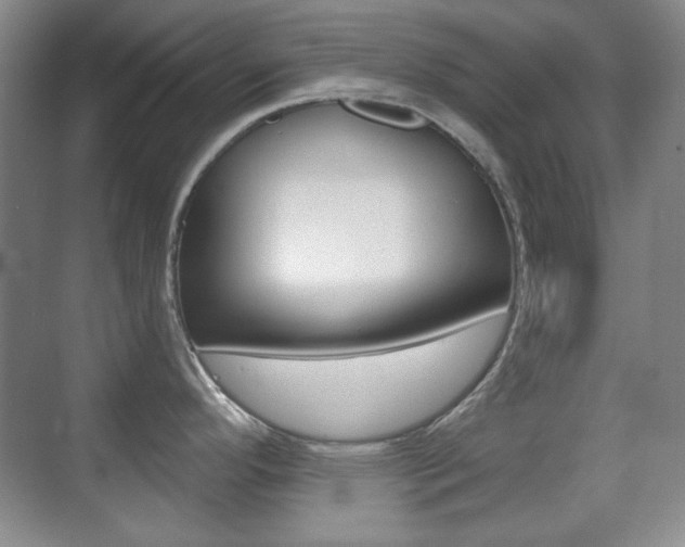 X0000070401296200606090920