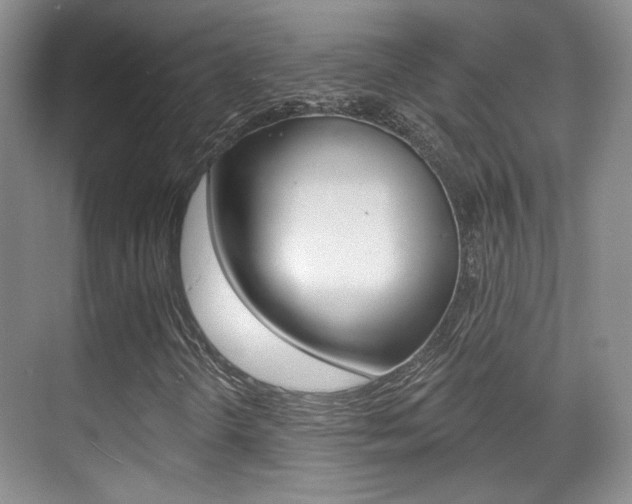 X0000070401298200606090919
