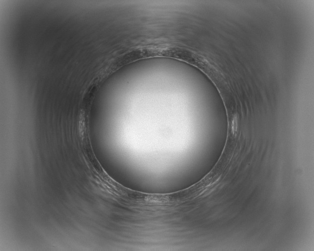 X0000070401299200606090919
