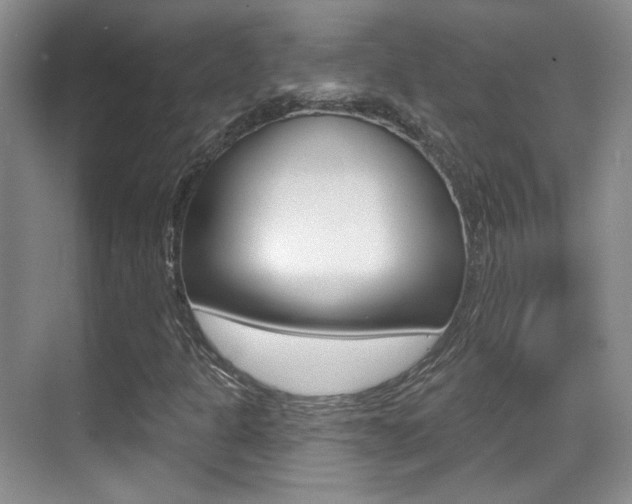 X0000070401301200606090919