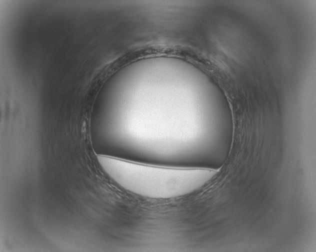 X0000070401302200606090919