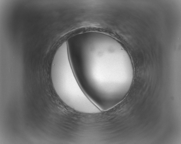 X0000070401303200606090919