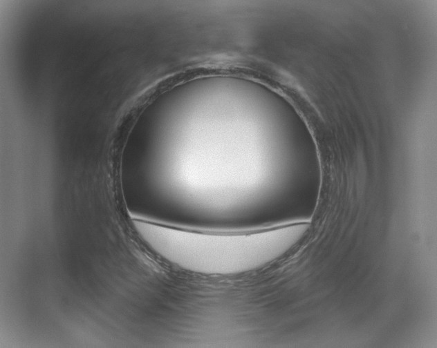 X0000070401304200606090919