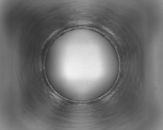 X0000070401306200606090919
