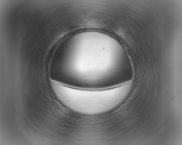 X0000070401307200606090919
