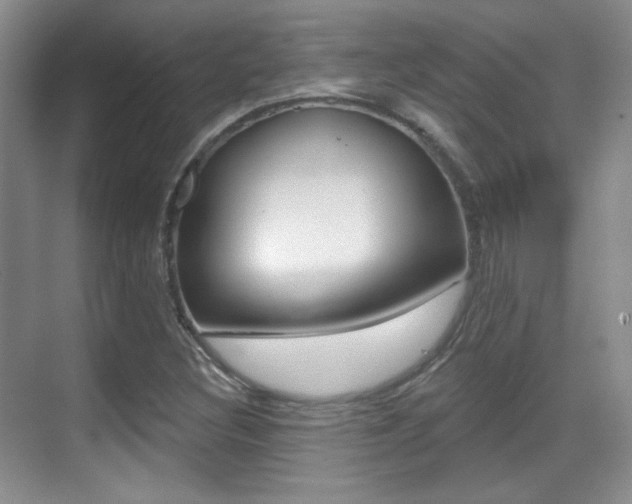 X0000070401308200606090919