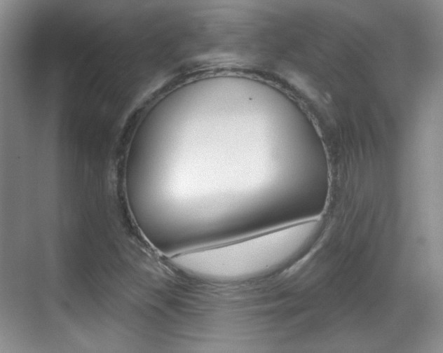X0000070401309200606090919