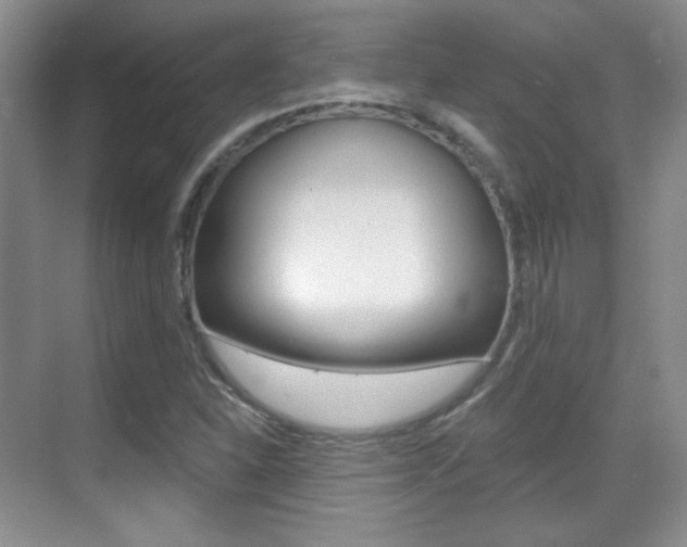 X0000070401310200606090919