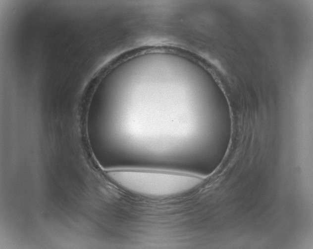 X0000070401311200606090919