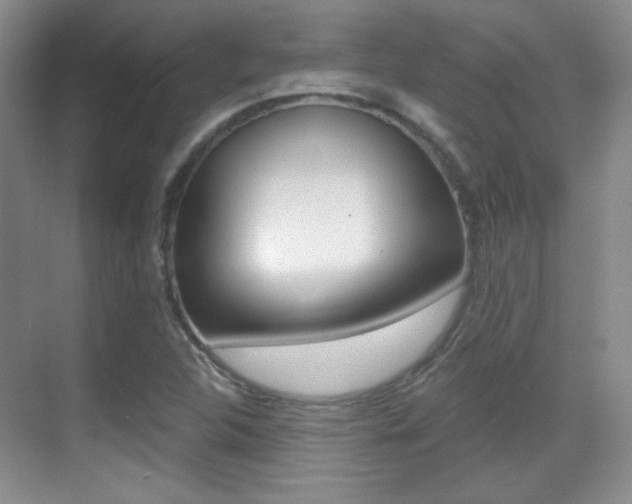 X0000070401312200606090919