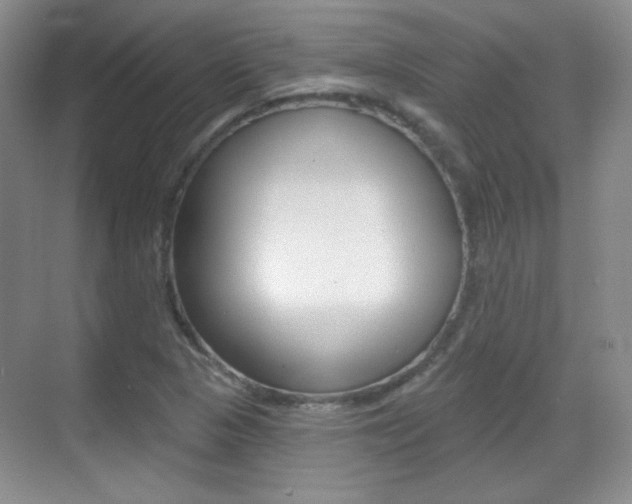 X0000070401313200606090919