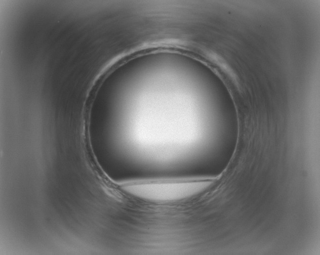 X0000070401316200606090919