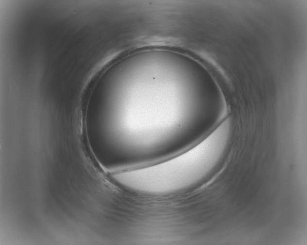 X0000070401317200606090919