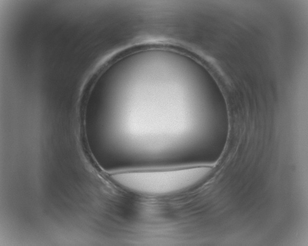 X0000070401319200606090919