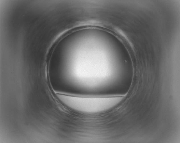 X0000070401320200606090919