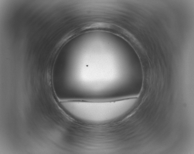 X0000070401321200606090919