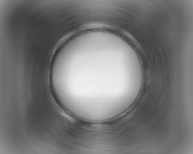 X0000070401322200606090919