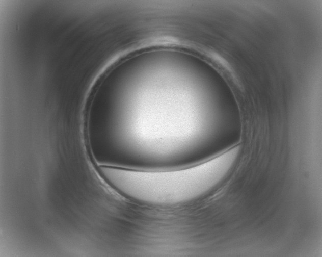 X0000070401326200606090919