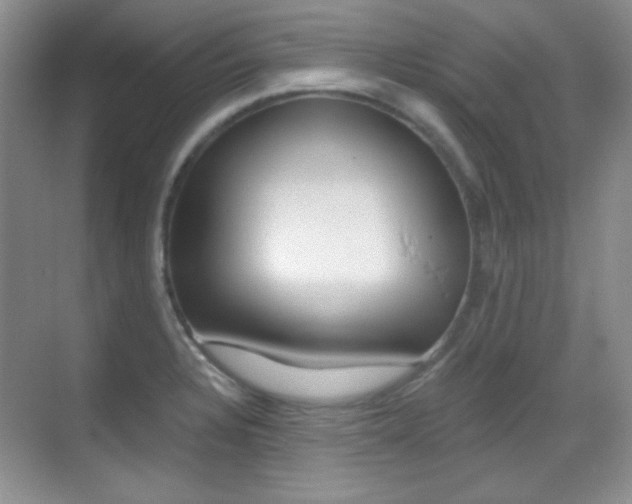 X0000070401328200606090919