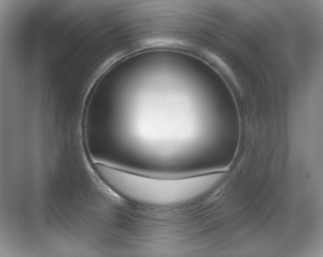 X0000070401330200606090920