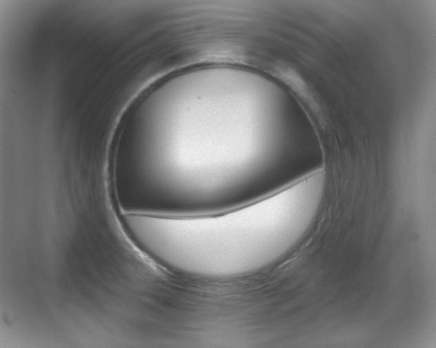 X0000070401331200606090920