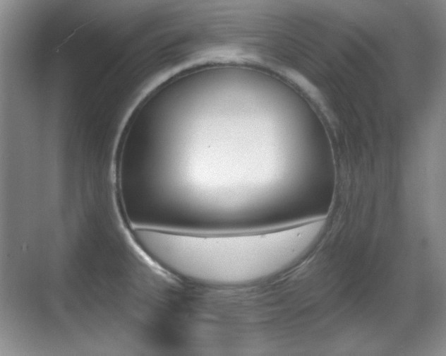 X0000070401335200606090920