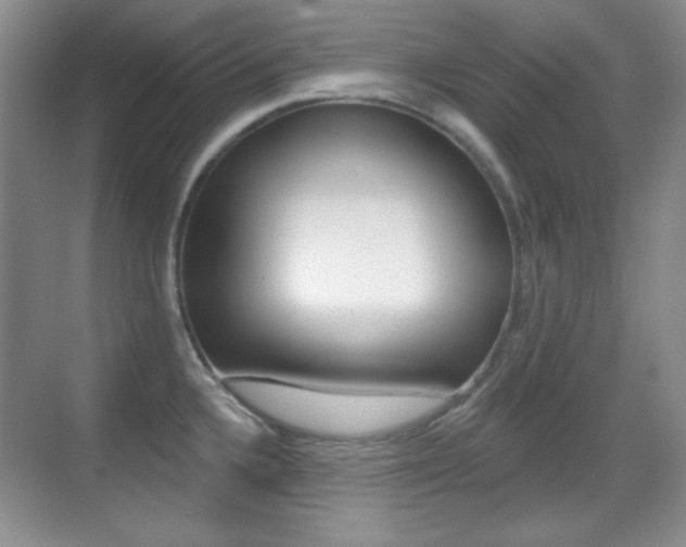 X0000070401336200606090920