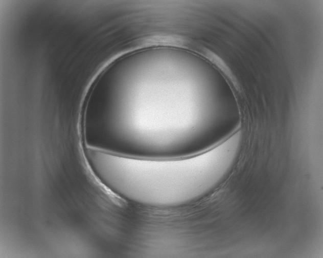 X0000070401339200606090920