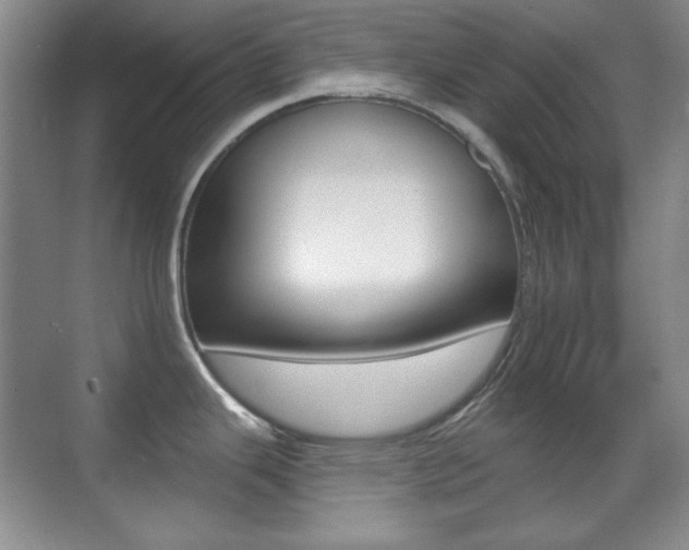X0000070401343200606090920