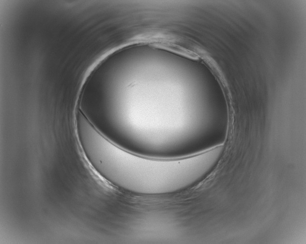 X0000070401344200606090920