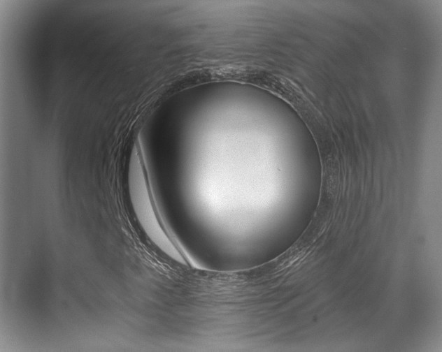X0000070401345200606090919