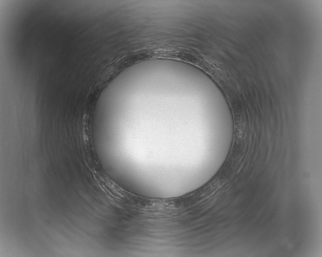 X0000070401346200606090919