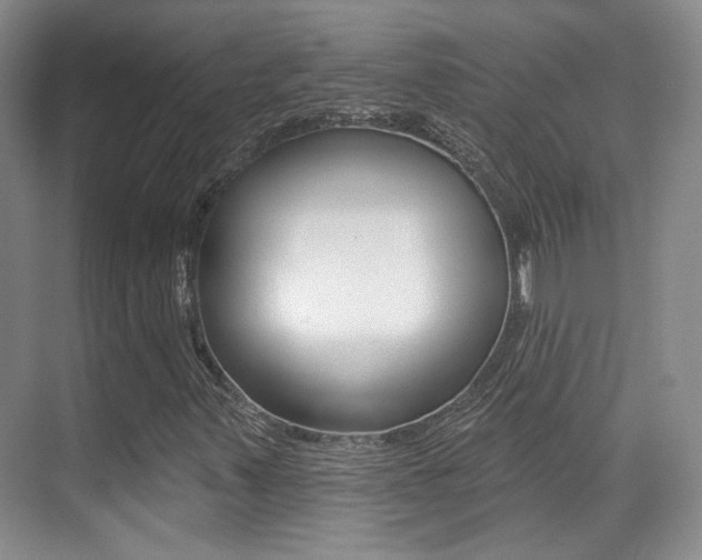 X0000070401347200606090919