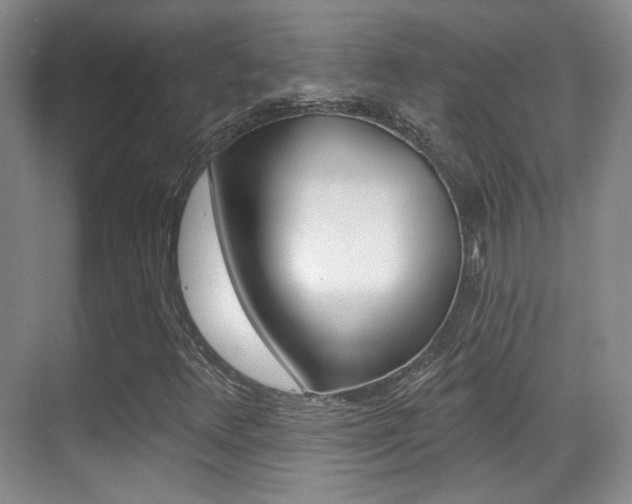 X0000070401348200606090919
