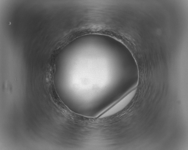 X0000070401349200606090919