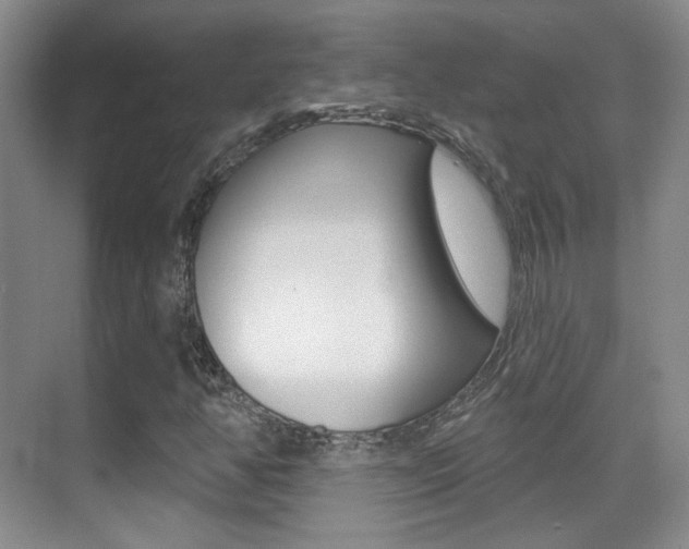 X0000070401350200606090919