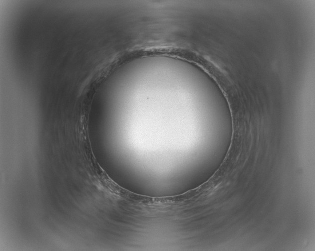 X0000070401351200606090919