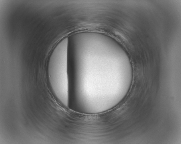 X0000070401354200606090919