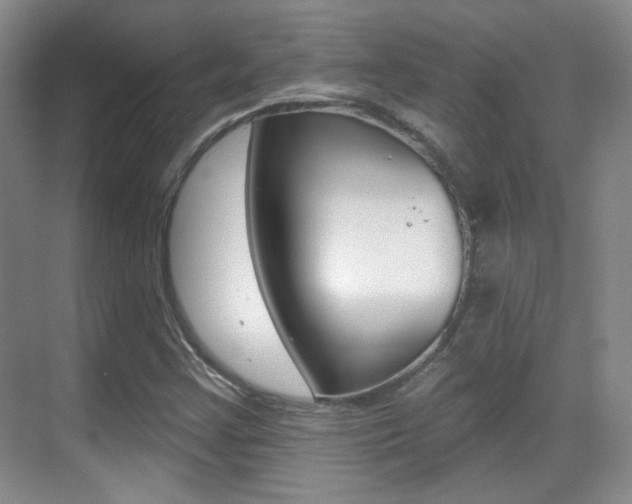 X0000070401355200606090919