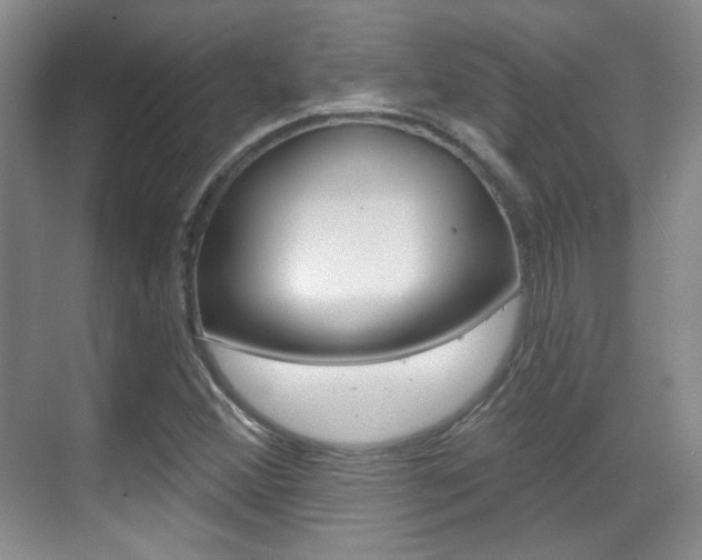 X0000070401356200606090919