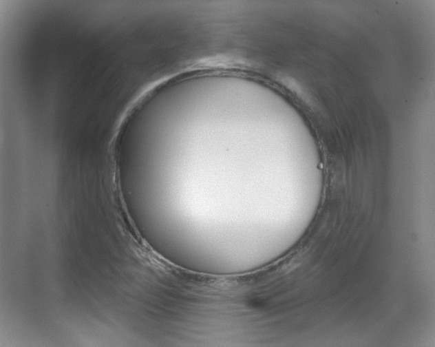 X0000070401358200606090919