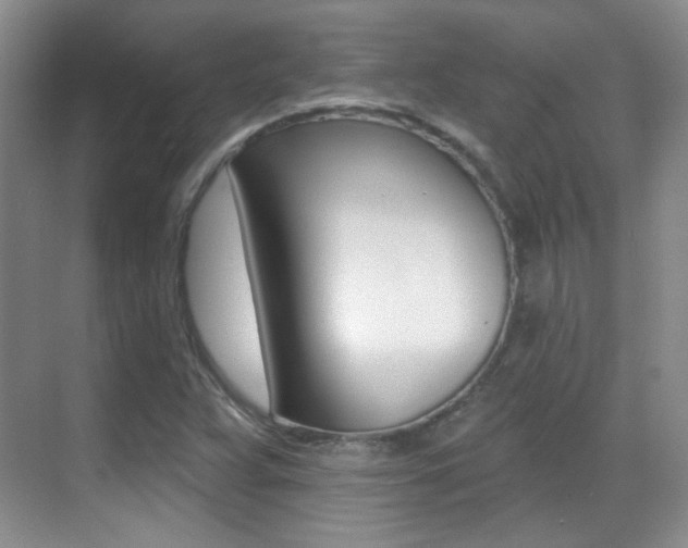 X0000070401359200606090919