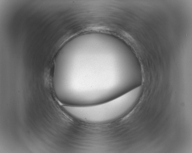 X0000070401361200606090919