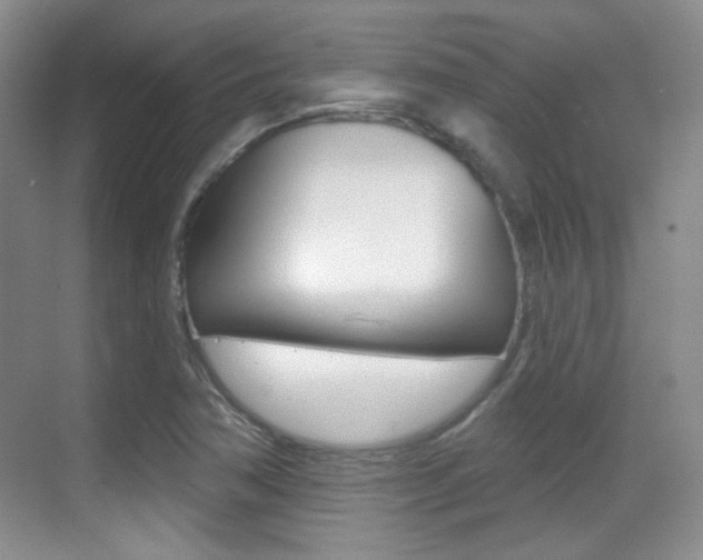 X0000070401362200606090919