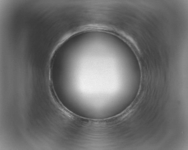 X0000070401365200606090919