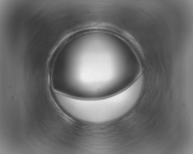 X0000070401368200606090919