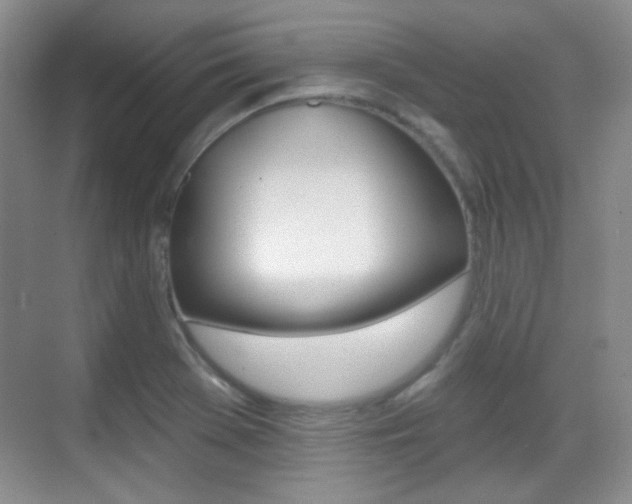 X0000070401369200606090919