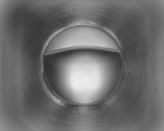X0000070401371200606090919