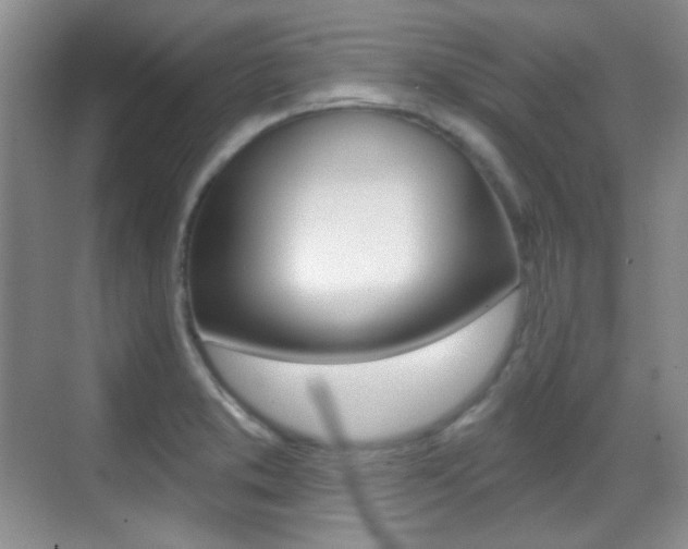 X0000070401373200606090918